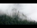 Chill Music Lo Fi Beats To Relax Study