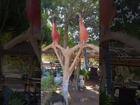 cidade , nova Rosalândia do Tocantins