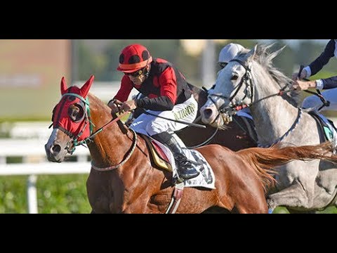 Veliefendi Koşusu (Grup - 1) 22/09/2019