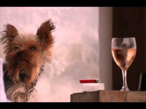 Schanfigger  peasant's wedding (Schanfigger Bauernhochzeit) by Hannes Meyer played by Markus Kühnis