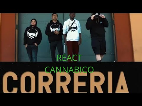 Correria - Xamã | Maurício DTS | Jhony MC | MC Sid [ Anti- Herói ] REACT CANNABICO
