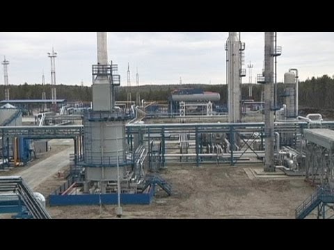 Medikiertem Futter an einem Gelenkerkrankungen Ñ ‰ мÐμÑ ÐμниÐμ Ð¿Ñ € Ð ° вого гоР»ÐμÐ½Ð¾Ñ Ñ, опного Ñ ÑƒÑ Ñ, Ð ° вР°