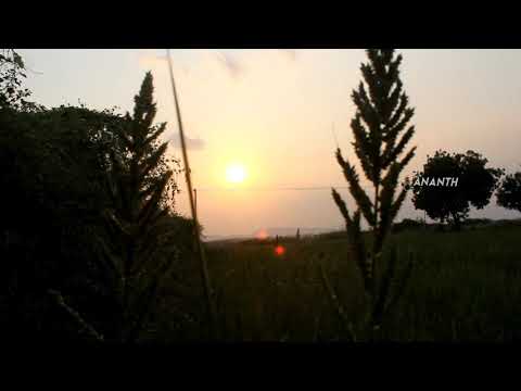 #evening sunset & flowers #by #ananth #Gudimetla