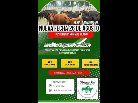 26-08-2025 Mauro Feo negocios rurales,  La Higuera Vichadero Rivera