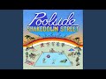 Shakedown Street