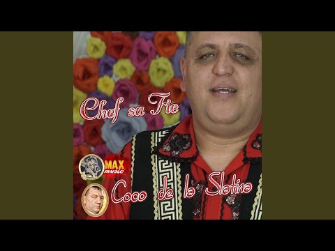 Colaj Belea De Sarbe