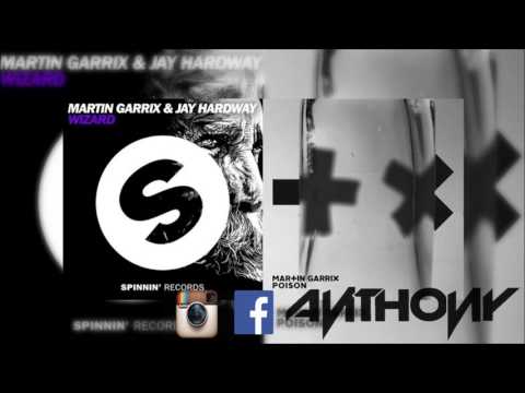Martin Garrix vs Jay Hardway - Wizard vs Poison (Martin Garrix UMF '16) Anthony Remake