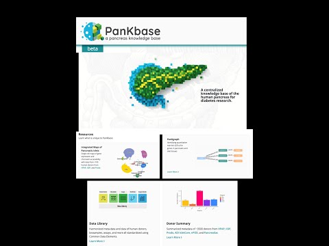 HIRN Webinar: PanKbase: A Centralized Knowledge Base of the Human Pancreas for Diabetes Research