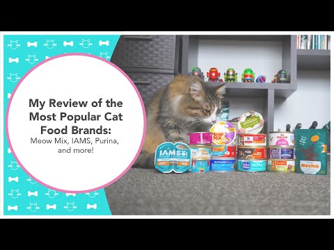 My Review of the Most Popular Cat Food Brands: Meow Mix, IAMS, Purina, and more!