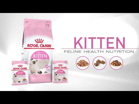 Royal Canin Kitten 400g video