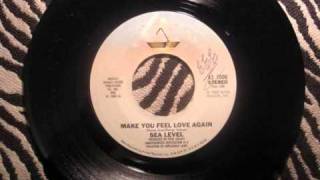 Music video thumbnail preview for Sea Level - Make you feel love again.wmv by Sea Level