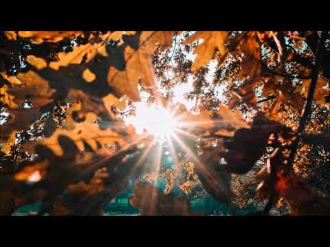 Jan Bendig ft. Markéta Konvičková - TOUŽÍM