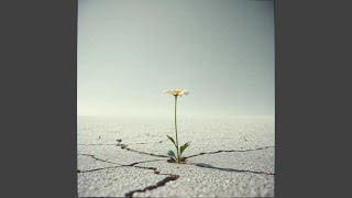 Download lagu Your Photograph mp3