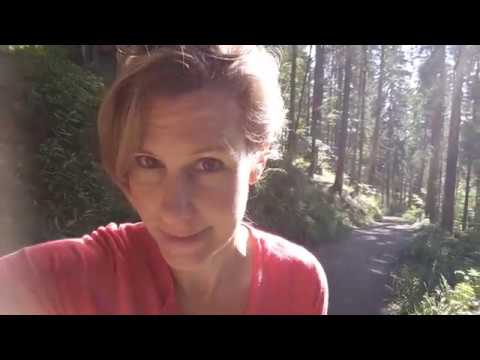 „Ich geh mal schnell auf den Berg“ – ein sommerlicher Kurztrip auf die Gindelalm