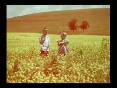 Tomorrow Is A Long Ways Away - Byrds