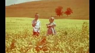 The Byrds - Tomorrow Is A Long Ways Away (acoustic demo)