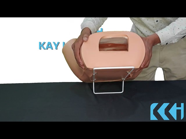 Gynecology Examination Model - Female Pelvic Muscles & Organ ...