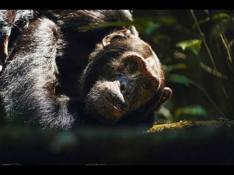 On safari at Kyambura Gorge Lodge