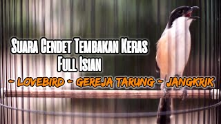 Download lagu SUARA CENDET GACOR FULL TEMBAKAN KERAS ISIAN LOVEBIRD JANGKRIK GEREJA TARUNG 100%AMPUH BUAT MASTERAN mp3