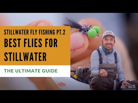 10 Best Stillwater Flies (DON'T FISH LAKES WITHOUT THEM)