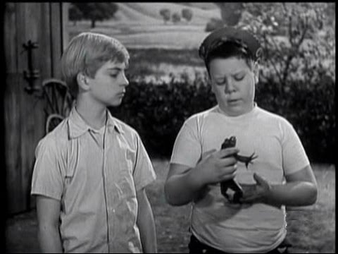 Lassie - Episode #65 - "The Frog" - Season 2, Ep. 39 - 10/10/1956