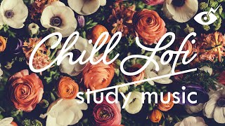 - Chill lofi study music TBD 005