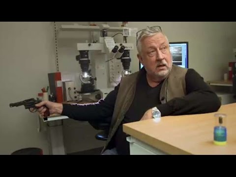 Leif GW Persson – Pang! Pang! (My Baby Shot Me Down Remix)