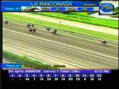 Resumen 28 de mayo 2011 - La Rinconada