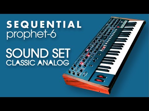 SEQUENTIAL PROPHET-6 PATCHES | 