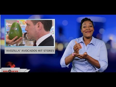 ‘Avozilla’ avocados hit stores (ASL - 5.31.19)