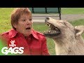 Surprise Dog Statue