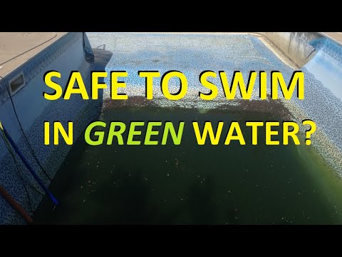 Is It Safe To Swim In Green Pool Water?