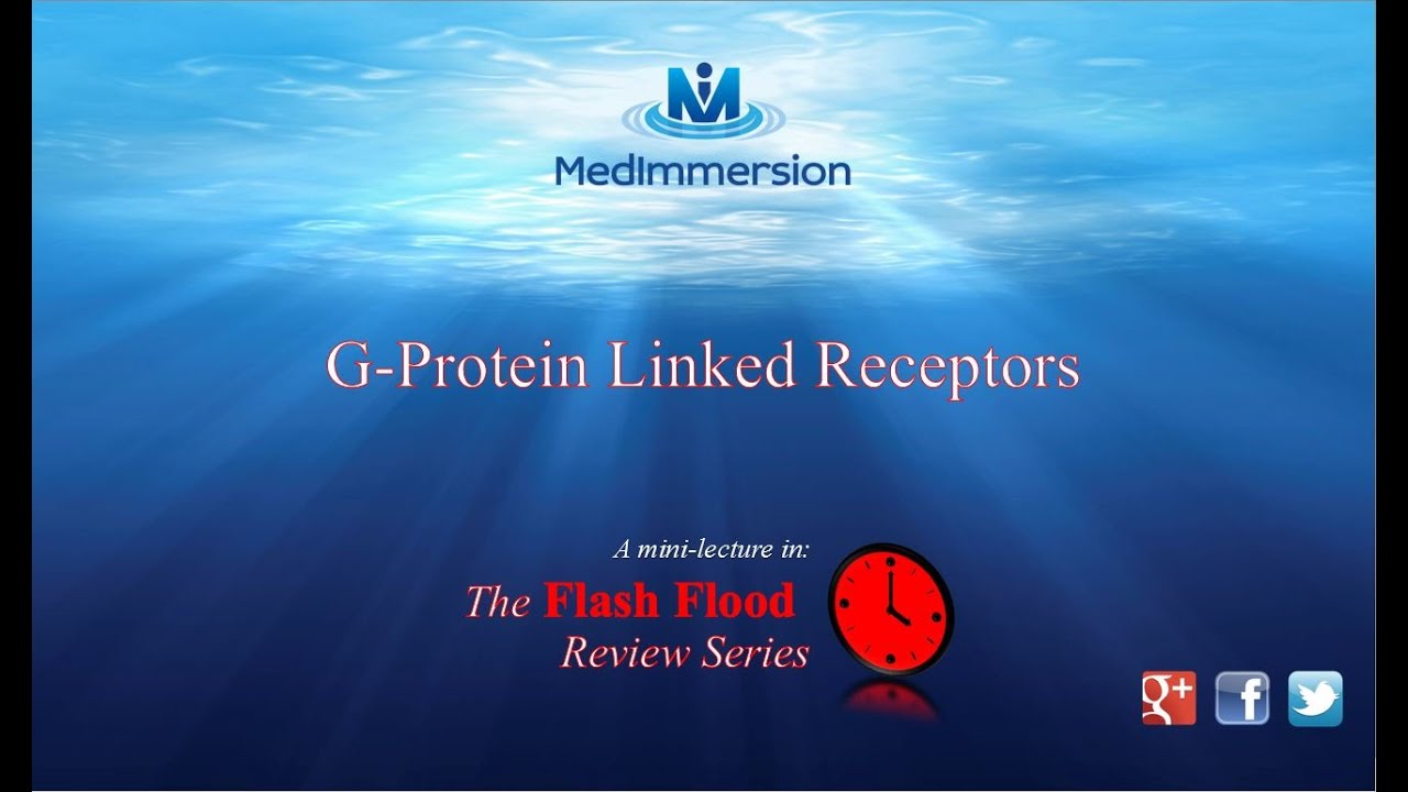 G Protein linked 2nd Messengers, G protein coupled receptors, GPCRs