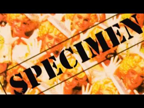 Specimen - E.D.F.S. (2000)
