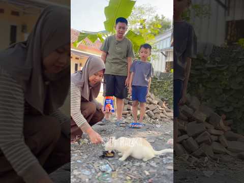 Dikira snack ternyata makanan kucing#shorts