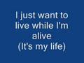 Jon Bon Jovi: It's my life-lyrics 