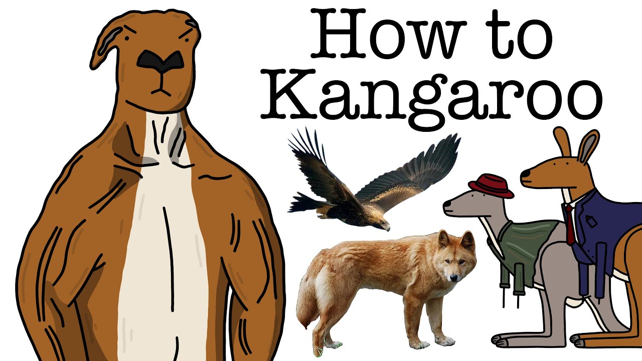 Your Life as a Kangaroo