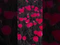 Die With A Smile Lyrics Bruno Mars Lyrics Aesthetic Whatsapp Status English Songs Slowed