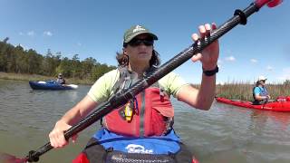preview picture of video 'Paddling Awendaw Creek, SC'