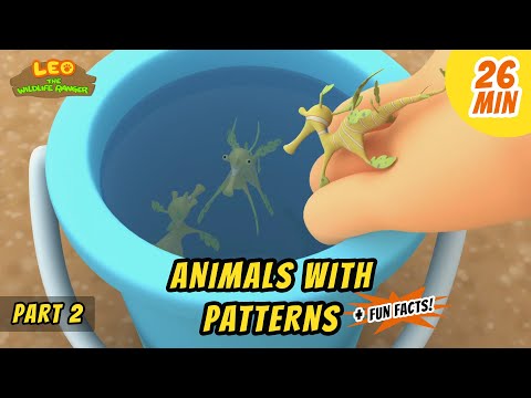 Witness21 Editor  2020 07 16