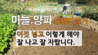 마늘 양파 토양 만들기 이것 4가지 꼭 넣어야 잘나고 잘 자랍니다. #주말농장 마늘 양파 가꾸기.