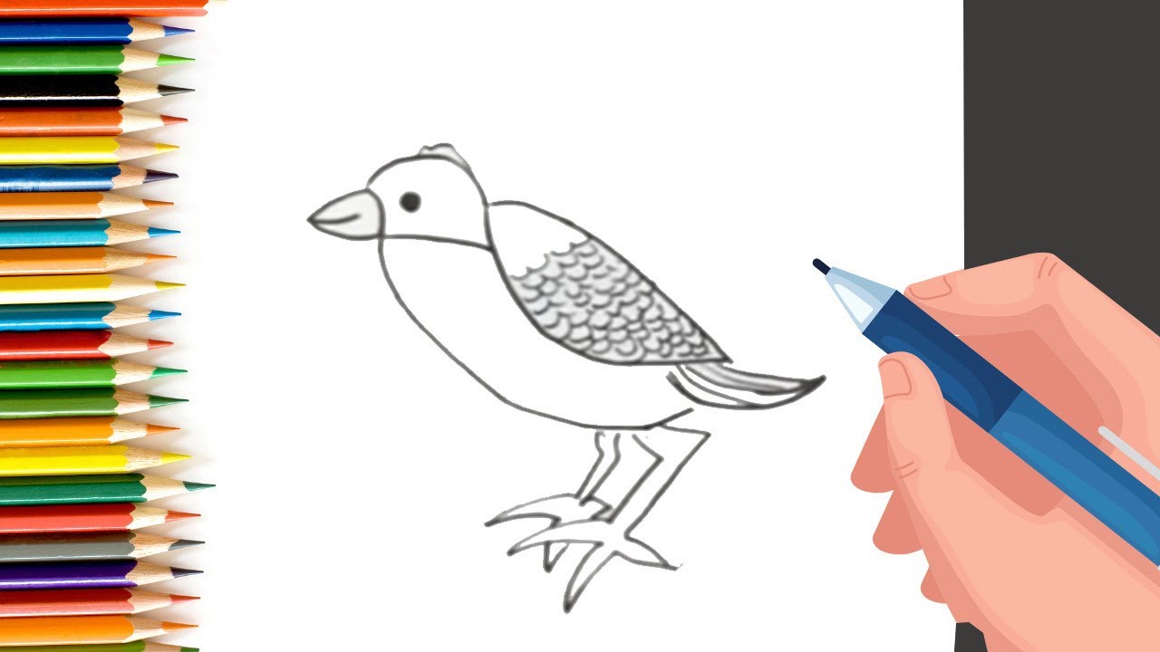 How to Draw easy Bird step by step for Kids