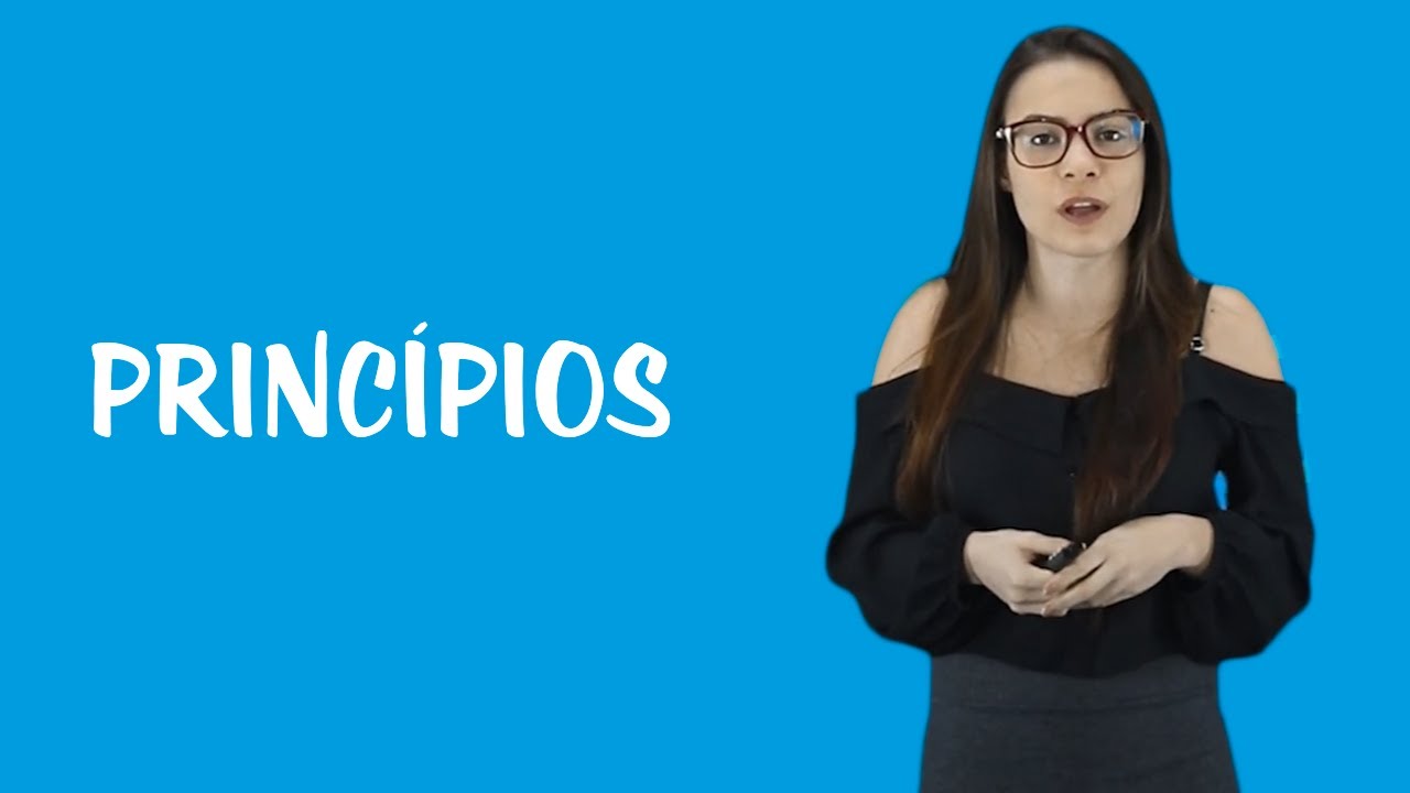 Recursos no Processo Civil - Princípios