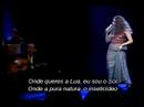 O Quereres video