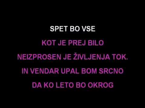 Karaoke - Alfi Nipič - Silvesterski Poljub