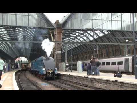 BITTERN: NEED FOR SPEED - OUT NOW ON DVD & BLU-RAY