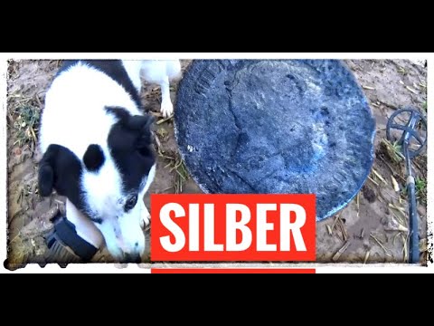 "2 Tage, 2 Detektoren, 1 Feld" Sondeltour 047 - Sondeln