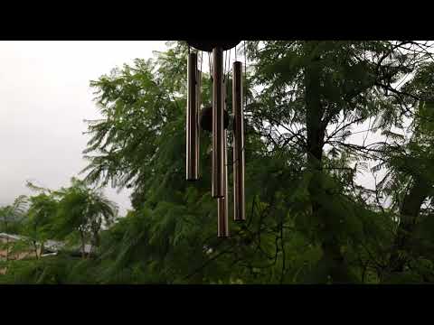 THIS HASN'T HAPPENED IN LOS ANGELES IN A VERY LONG TIME! #losangeles #weather #fall #October