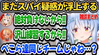 【雑談まとめ】ぺこら同じチームメンバーから敵認定を受けてしまうｗ【ホロライブ切り抜き/兎田ぺこら】