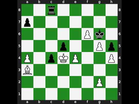 Jan H Timman(2625) vs Robert Huebner(2595) | Event: Montreal | 1979.??.??